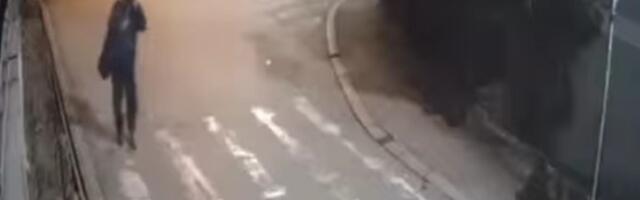 Nezapamćena pljačka na Zvezdaru: Usred noći iz kaveza ukradeni...