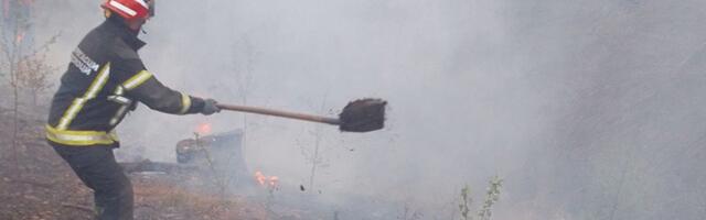 Požari u atarima niških sela i kod Aleksinca, nema povređenih