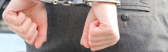 Бугарска ухапсила 35 осумњичених у великој мрежи трговине културним благом