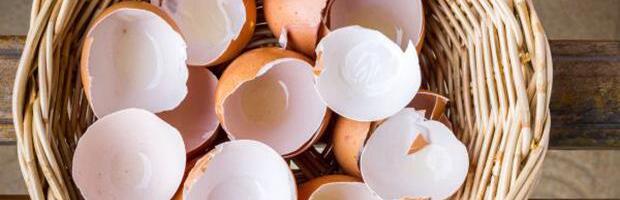 Svi ih bacamo u smeće, a pravo su blago: Evo zašto su ljuske od jaja zlata vredne