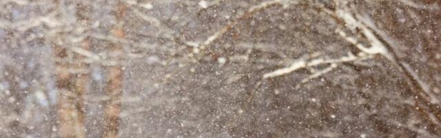 POČELO ZAHLAĐENJE Evo kako će nam izgledati mart