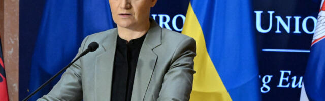 Брнабићева: Пицула инсистира да Србија буде кажњена због просрпске политике