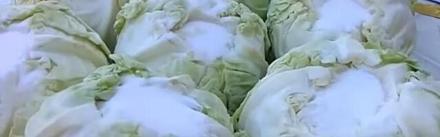 NE OČAJAVAJTE AKO VAM SE KISELI KUPUS KVARI! Evo šta odmah treba da uradite, to ga VRAĆA U ŽIVOT