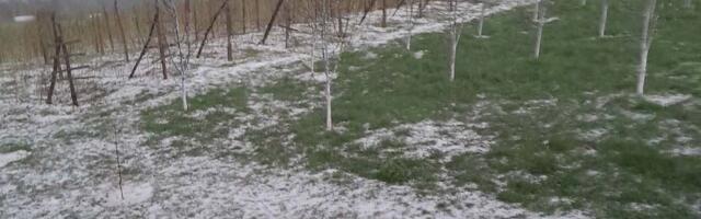 Meštani sela kod Zlatibora očajni, hvataju se za glavu! Nevreme zbrisalo malinjake, šteta je NEPOVRATNA