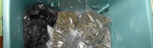 VELIKO HAPŠENJE U MALOM IĐOŠU! Mladiću pronašli 680 grama droge u frižideru I PIŠTOLJ!