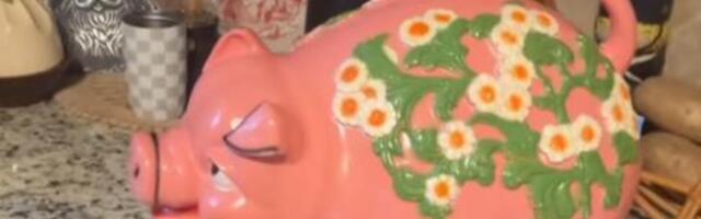 Kupila kasicu prasicu iz 1970-ih za 1.100 dinara! Kad ju je otvorila, ostala u šoku - iz nje ispadali... (VIDEO)