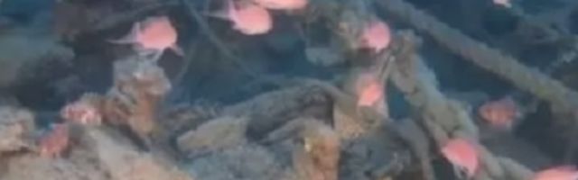 Ronioci nisu ni sanjali da će nešto poput ovoga pronaći, istorija je ispisana! (FOTO)