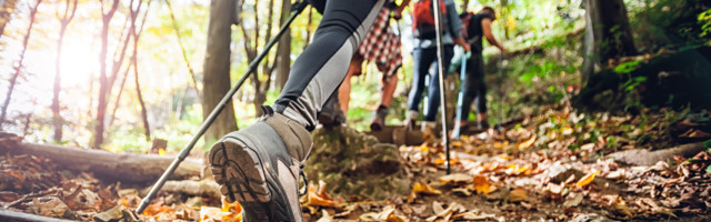 Umesto mora na planinu – kako pandemija utiče na srpski turizam?