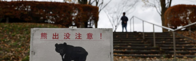 Медведи поново прете североистоку Јапана