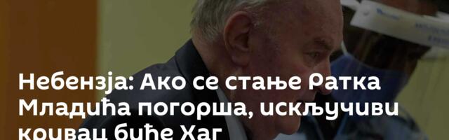 Небензја: Ако се стање Ратка Младића погорша, искључиви кривац биће Хаг