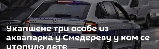 Ухапшене три особе из аквапарка у Смедереву у ком се утопило дете