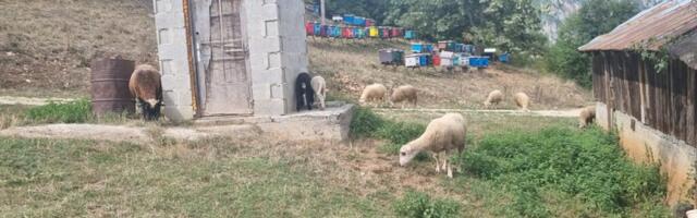Субвенције за набавку машина за 220 пријепољских пољопривредника