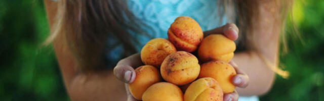 Више од 800 основаца учествовало у пројекту „Учионица здравља“