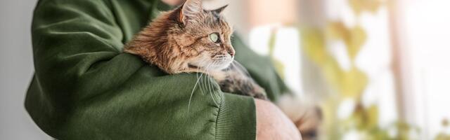 Da li i vas pogađa „plavi ponedeljak“: Ako imate ljubimca, i ekrani padaju u drugi plan, tvrdi istraživanje