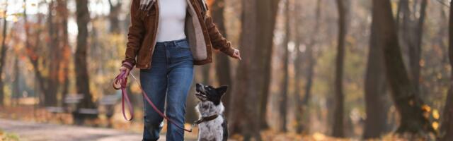 Sunce vas "vozi" kroz dan, ali telo šalje jedno upozorenje koje ne treba ignorisati: Sutra pazite na ovo