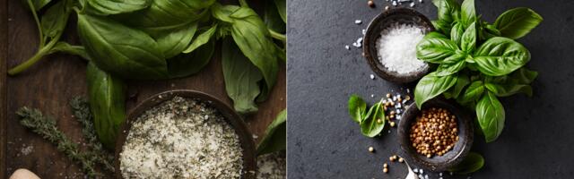 Domaća aromatična so sa bosiljkom, peršunom i belim lukom – ovako se pravi