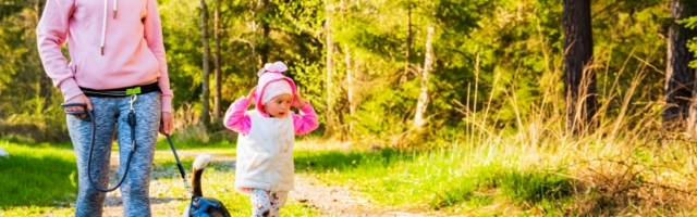 Bezbedan način gubljenja kilograma: 7 koraka da smršate pomoću hodanja