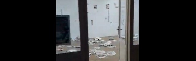 Huligani upali na izložbu Somborca (VIDEO)