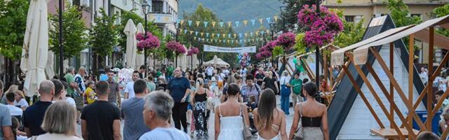 Bajina Bašta i kineski Guijang uspostavljaju saradnju