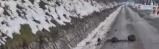 VOZAČ IZ PRIJEPOLJA ODUŠEVIO CELU SRBIJU: Stao nasred puta, pa usledio šok! (VIDEO)