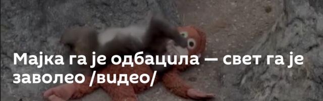 Мајка га је одбацила — свет га је заволео /видео/