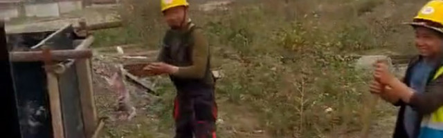 Radnici kineskog “Linglonga” obesili i odrali mačku na sred gradilišta, pripremali sebi ručak