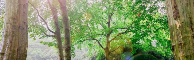 ​У Србији сутра претежно сунчано и топло