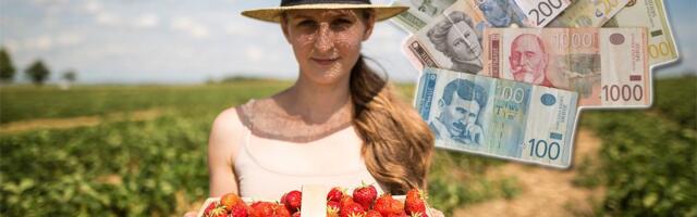 Ovi sezonci NAJVIŠE zarađuju u Srbiji? Jedni za mesec dana uzmu čak 180.000 DINARA