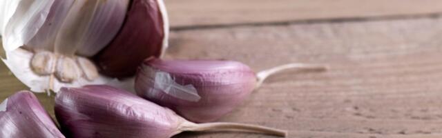 Ne suši se niti trune: Kako pravilno čuvati beli luk da ostane svež, čvrst i aromatičan mesecima