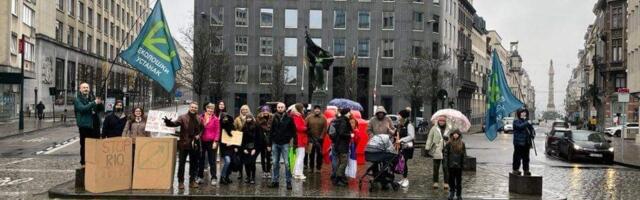 Građani Srbije u Briselu održali skup podrške ekološkim protestima