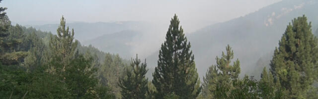 Opasnost od šumskih požara raste tokom prvomajskih praznika, apel građanima na oprez