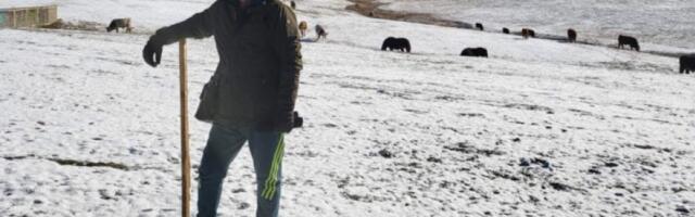 Pevač otišao iz Beograda - Sagradio dom na Zlatiboru: "Šetam svaki dan po 10 kilometara"