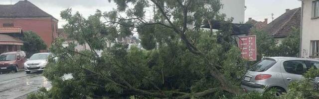 STRAŠNO NEVREME U BARU: Udari vetra bili 90 km na sat, oborena STABLA!