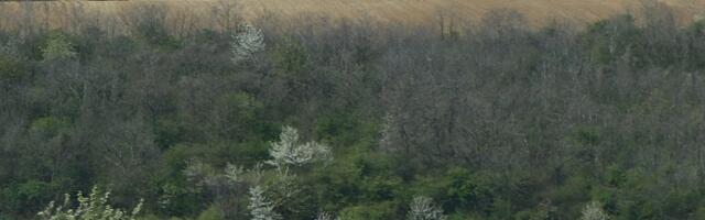 Poljoprivrednici neće morati da pravdaju podsticaje za detelinu i lucerku