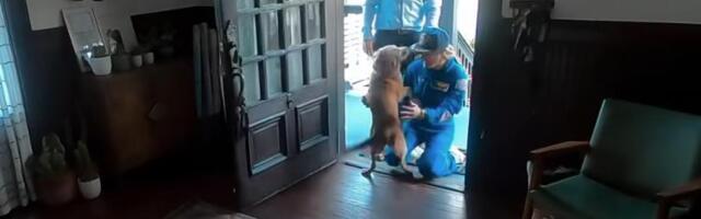 "Ovaj snimak me je rasplakao" Astronautkinju nakog obilaska Meseca dočekao njen pas (VIDEO)