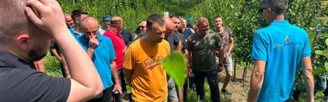 Voćare očekuje važan posao: Da bi rod bio bolji, ovo mora da se uradi