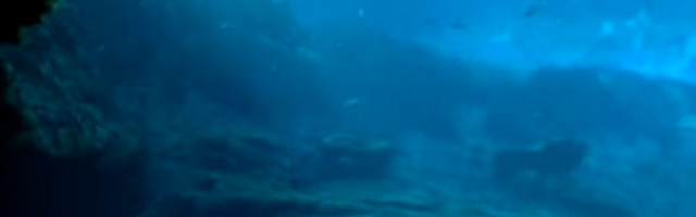 Verovatno ste ga već pojeli, a da niste ni znali!