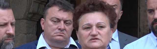 P. Vasiljević: O improvizovanoj državi „Kosovo“