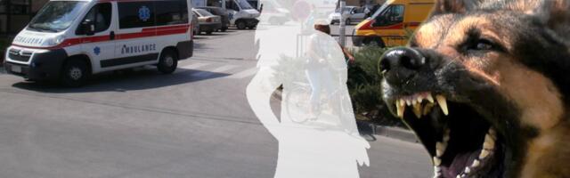 Horor u Sremčici! Devojčici (4) pas rasporio stomak