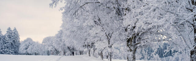 Температура у целој Србији испод нуле, црвени метеоаларм на југозападу