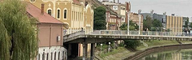 Komarci nisu posustajali ni prošle godine: Kako je tekla borba u Zrenjaninu