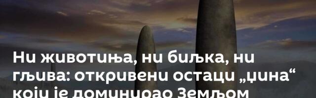 Ни животиња, ни биљка, ни гљива: откривени остаци „џина“ који је доминирао Земљом /видео, фото/