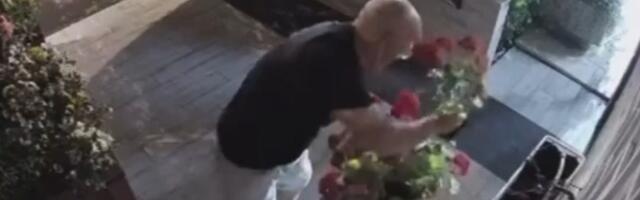 Lopov snimljen kako krade cveće (VIDEO)
