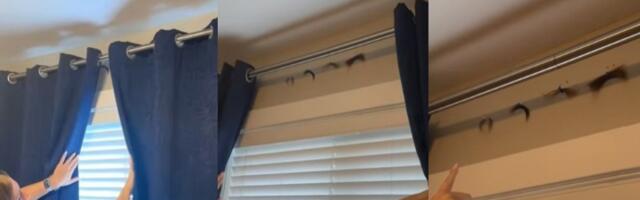 Iznajmile smeštaj, a kad su pomerile zavese ugledale su JEZIV PRIZOR (VIDEO)