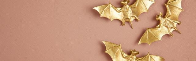 Slepi miš: značenje i upotreba u feng šuiju