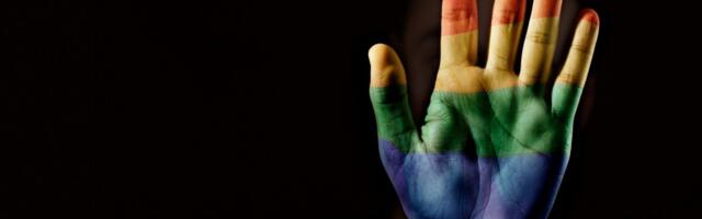 Poslanica tvrdila da je homoseksualnost razvojni poremećaj: Finski Vrhovni sud je propisno kaznio