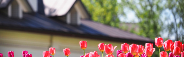 Srbija nije osuđena na siromaštvo