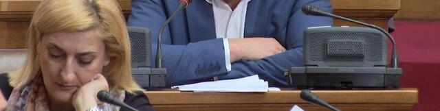 "Vanredni parlamentarni izbori u nepromenjenim uslovima bili bi neregularni"