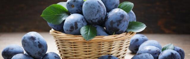 Domaćice su poludele za ovim trikom: Ogulite šljive za slatko bez muke