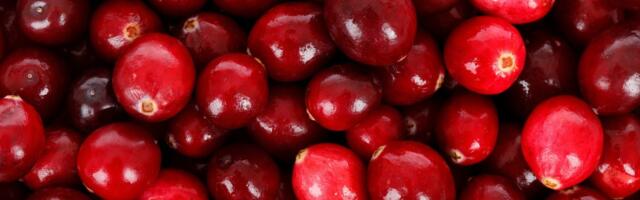 Ovo voće čuva pamćenje i srce: Jeftino je, a pravo je blago